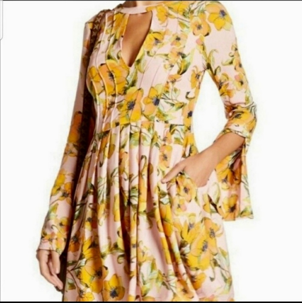 Free People Teagan Floral Poppy Dress with pockets